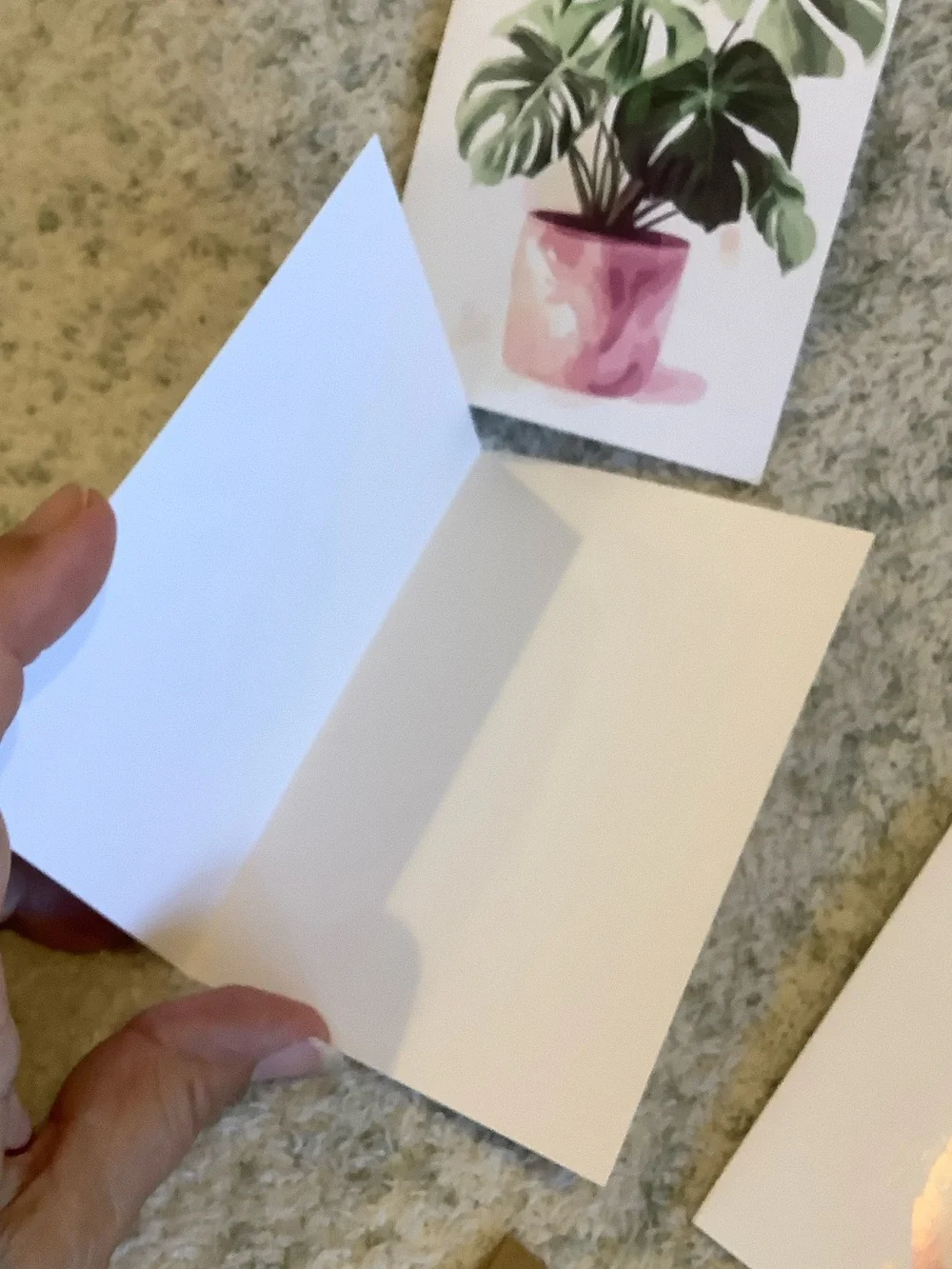 Potted Tropical Plants Note Cards Variety Pack Set of 6 Blank inside NWT HC